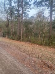 TBD Hill Creek Drive, Coldspring, TX 77331