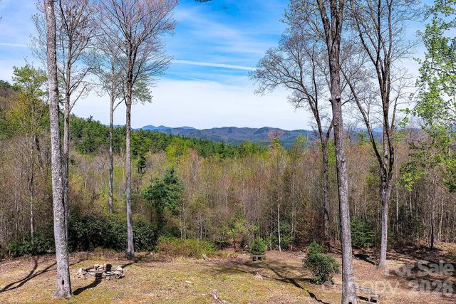 716 Peppervine Circle, Brevard, NC 28712
