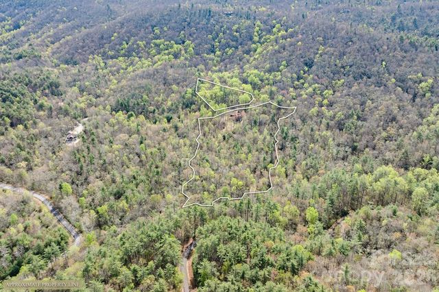 716 Peppervine Circle, Brevard, NC 28712
