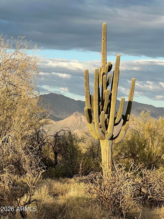 Image 59 of property listing at 29015 N 168th Street, Rio Verde, AZ 85263