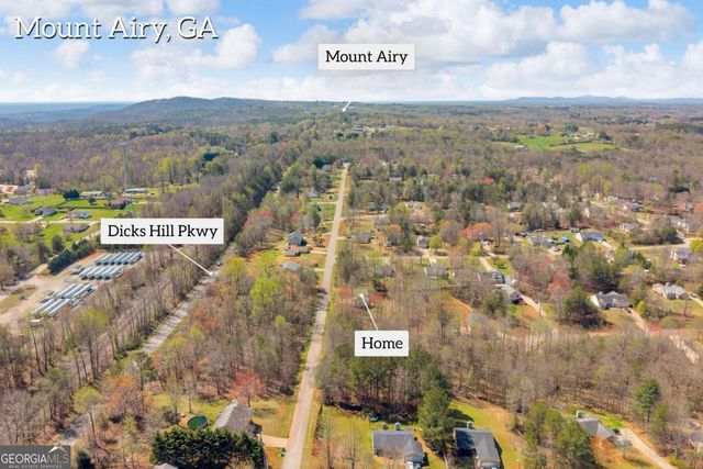 910 Ivy Hills Circle, Mount Airy, GA 30563