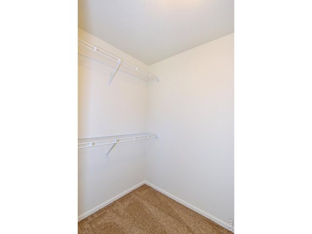 2398 Jasmine Ln, Johnstown, CO 80534