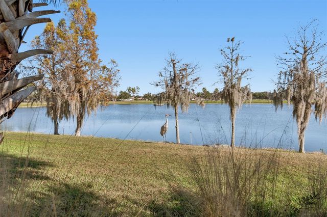 2376 PALM TREE DRIVE, Kissimmee, FL 34759