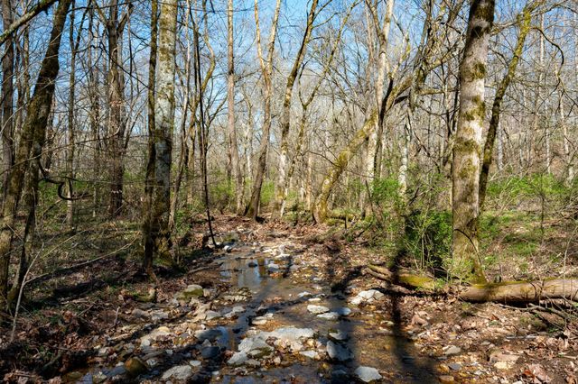 0 Bedford Creek Road, Franklin, TN 37064