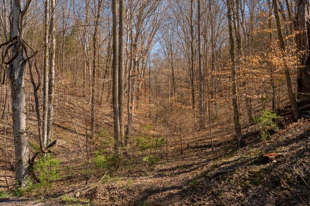 0 Bedford Creek Road, Franklin, TN 37064