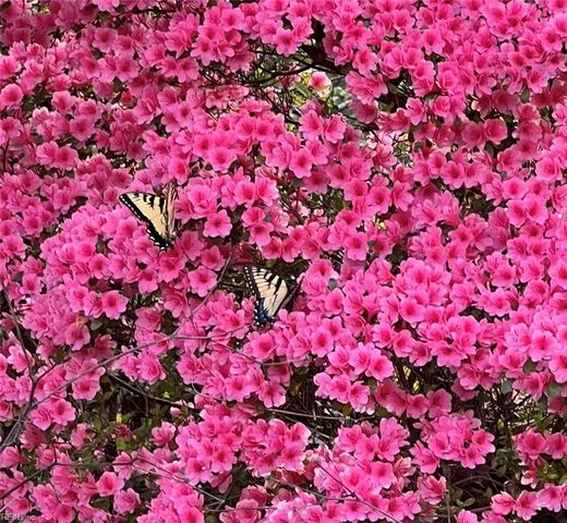 7650 Gatsby LN, Gloucester, VA 23061