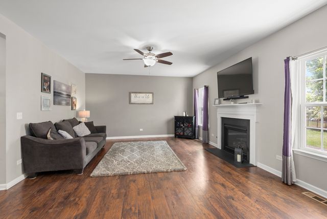 24505 Sleepy Hollow Lane, Plainfield, IL 60586