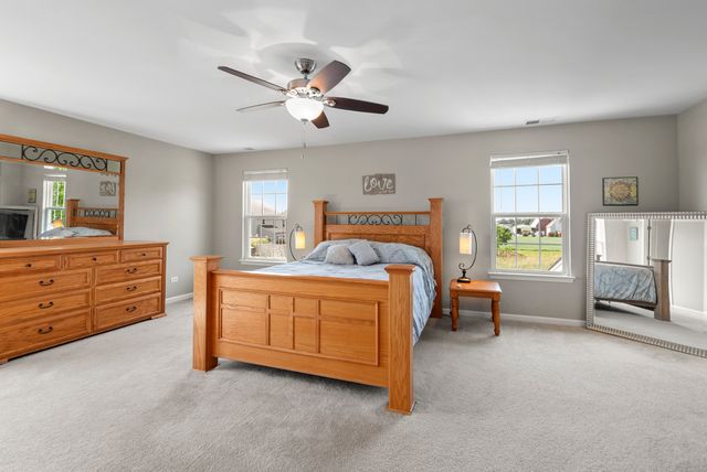 24505 Sleepy Hollow Lane, Plainfield, IL 60586