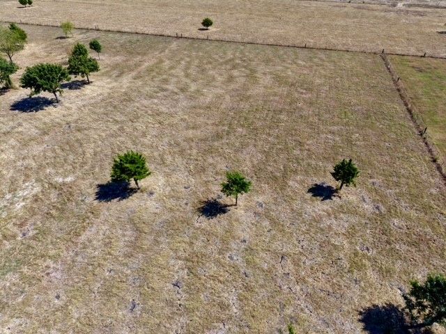 2675 Dowell Road, Rockwall, TX 75032