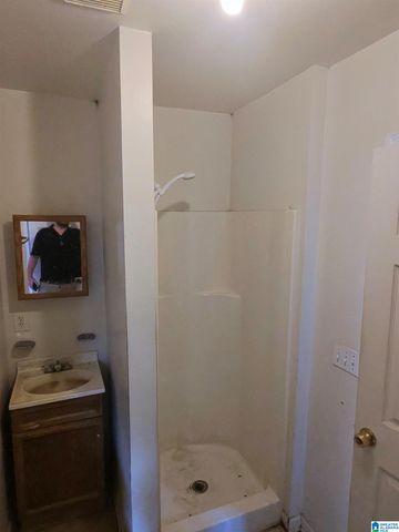 3241 BIRCH AVENUE SW, Birmingham, AL 35221