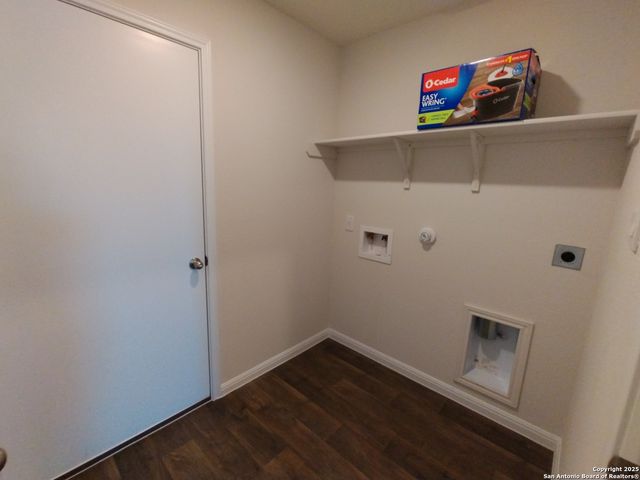 315 elephants ear, New Braunfels, TX 78130