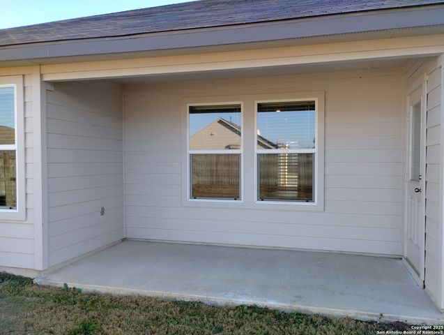 315 elephants ear, New Braunfels, TX 78130