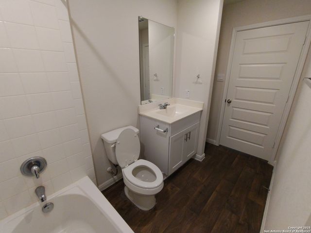 315 elephants ear, New Braunfels, TX 78130