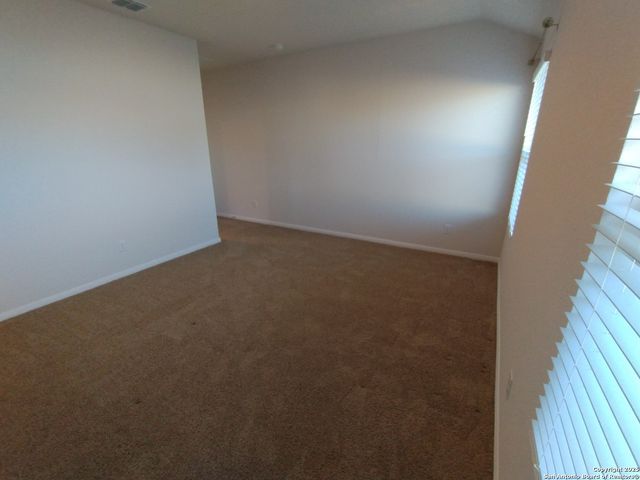 315 elephants ear, New Braunfels, TX 78130