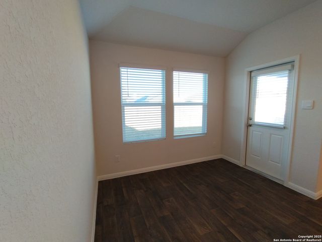 315 elephants ear, New Braunfels, TX 78130