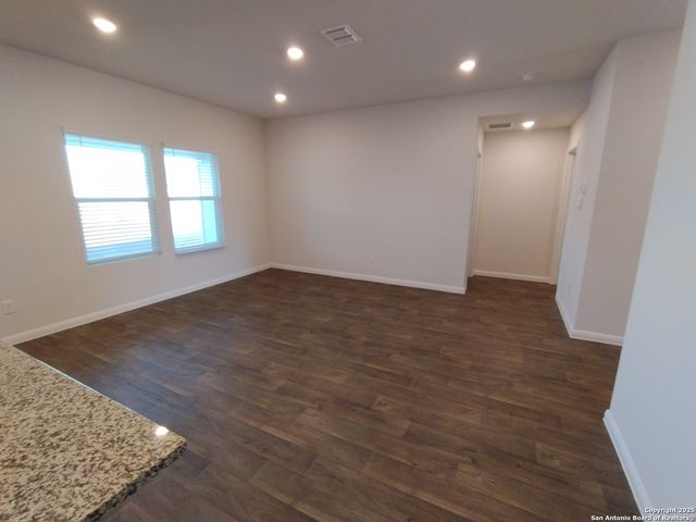 315 elephants ear, New Braunfels, TX 78130