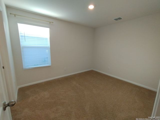 315 elephants ear, New Braunfels, TX 78130