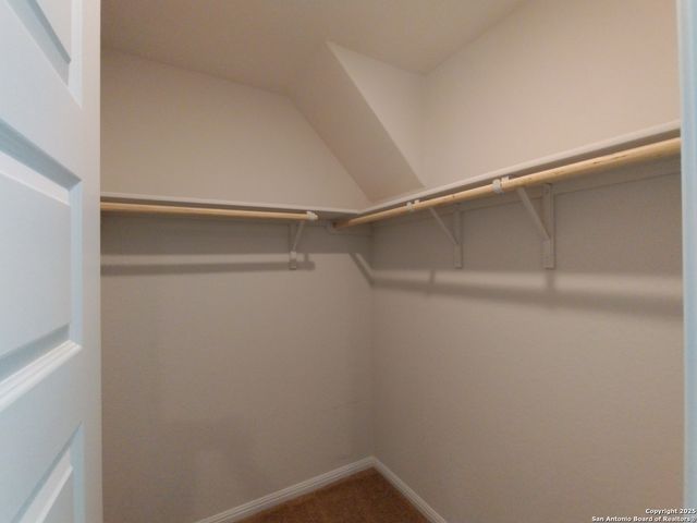 315 elephants ear, New Braunfels, TX 78130