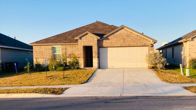 315 elephants ear, New Braunfels, TX 78130