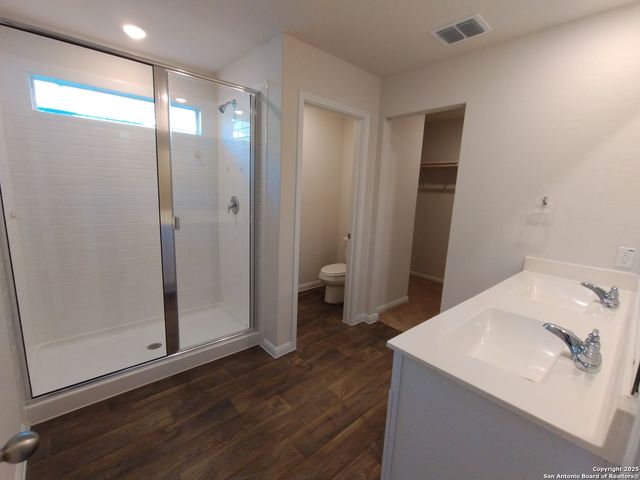 315 elephants ear, New Braunfels, TX 78130