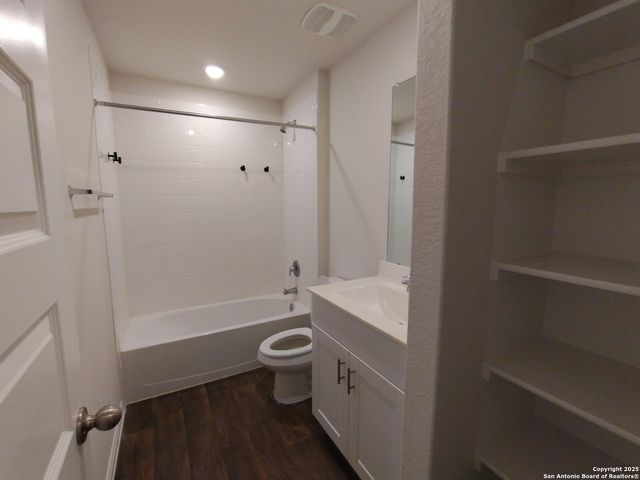 315 elephants ear, New Braunfels, TX 78130