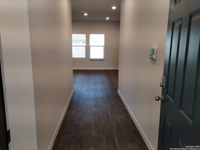 315 elephants ear, New Braunfels, TX 78130