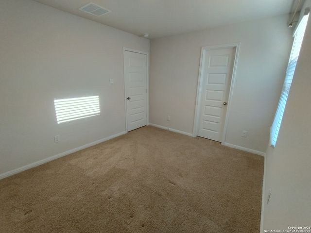 315 elephants ear, New Braunfels, TX 78130