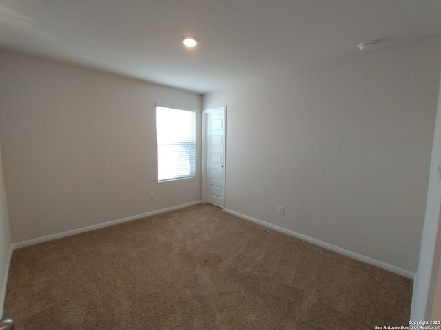 315 elephants ear, New Braunfels, TX 78130