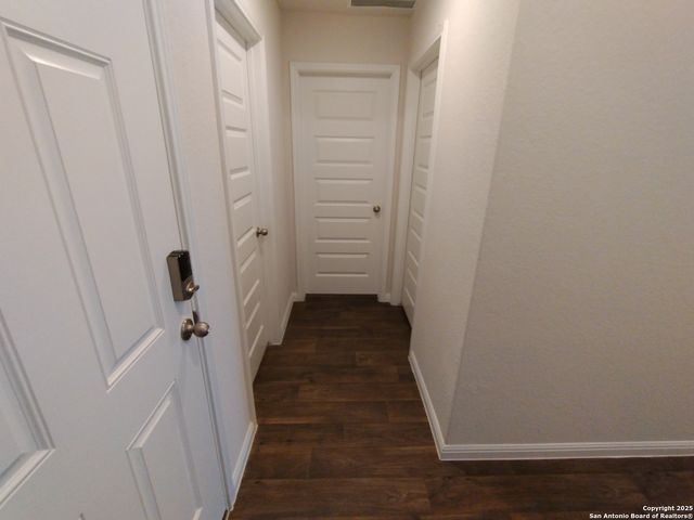 315 elephants ear, New Braunfels, TX 78130