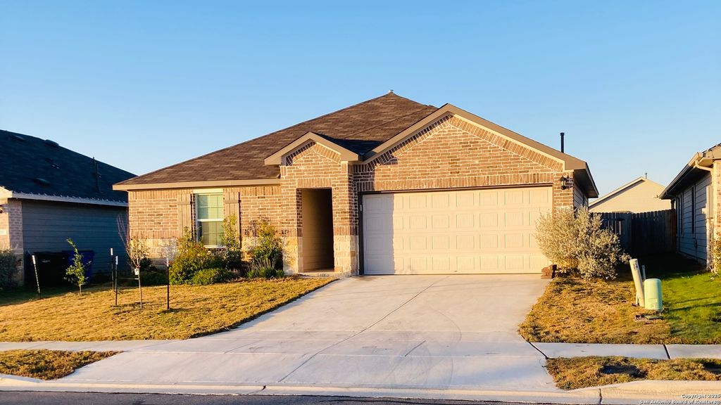 315 elephants ear, New Braunfels, TX 78130