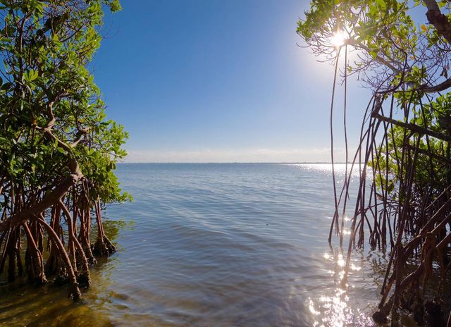 7683 Pelican Pointe Drive, Jensen Beach, FL 34957