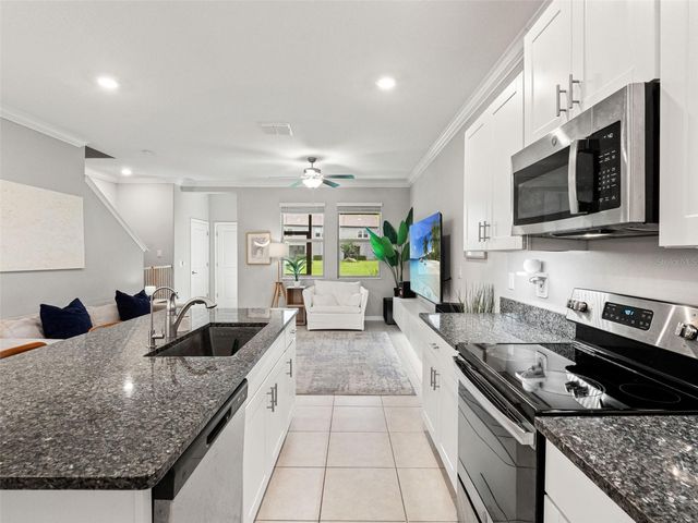 31898 BLUE PASSING LOOP, Wesley Chapel, FL 33545