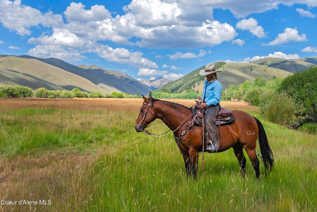 708 E Fork Road, Hailey, ID 83333 photo 103
