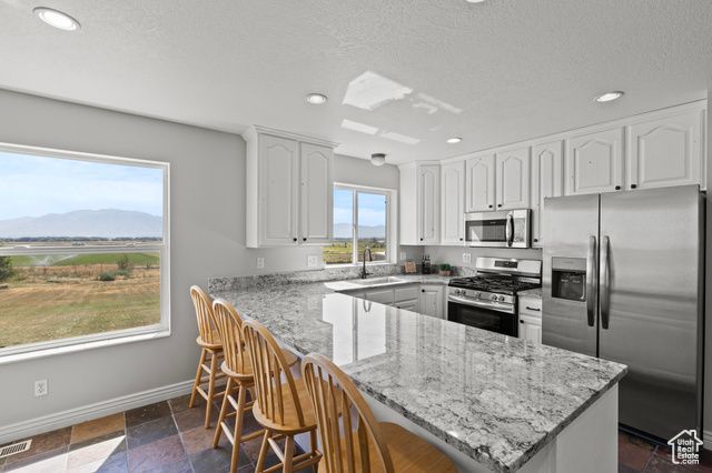 518 N 220 E, Mendon, UT 84325