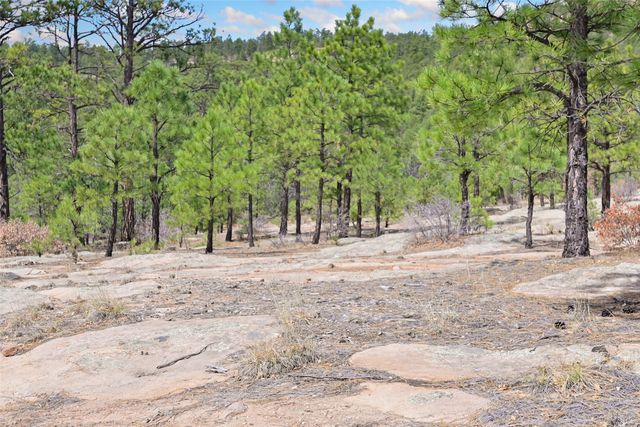23 La Cueva Creek Road B, Glorieta, NM 87535