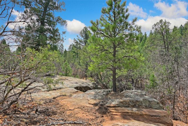 23 La Cueva Creek Road B, Glorieta, NM 87535