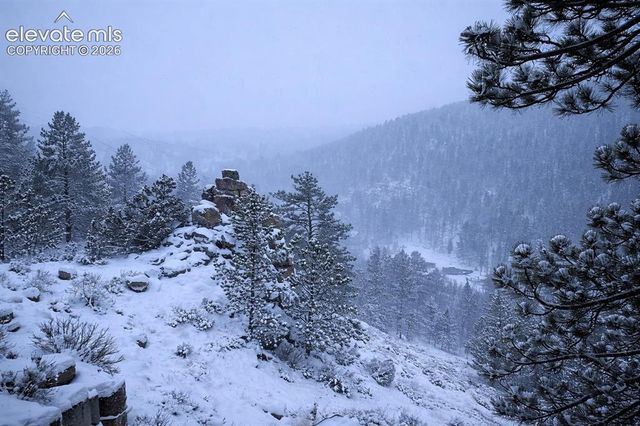 672 Comanche Circle, Red Feather Lakes, CO 80545