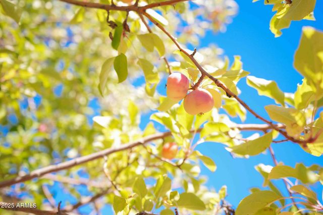 168 E TONTO Drive, Sedona, AZ 86351