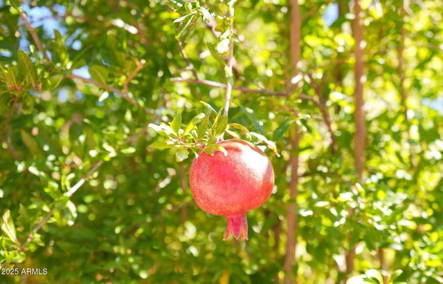 168 E TONTO Drive, Sedona, AZ 86351