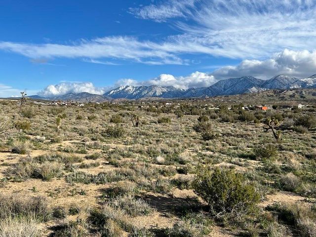 0 Fort Tejon Road, Pearblossom, CA 93553