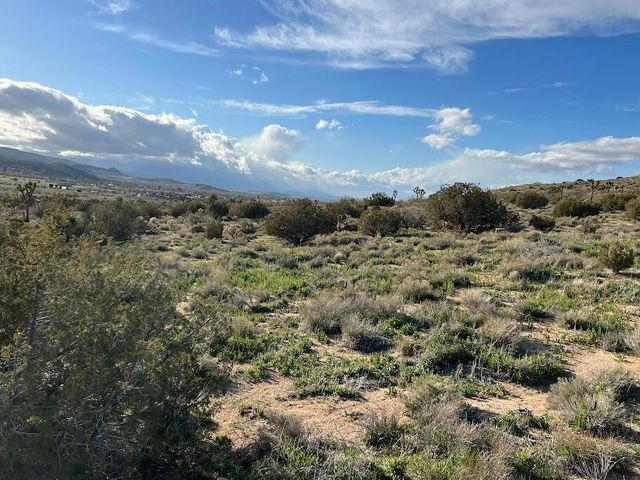 0 Fort Tejon Road, Pearblossom, CA 93553