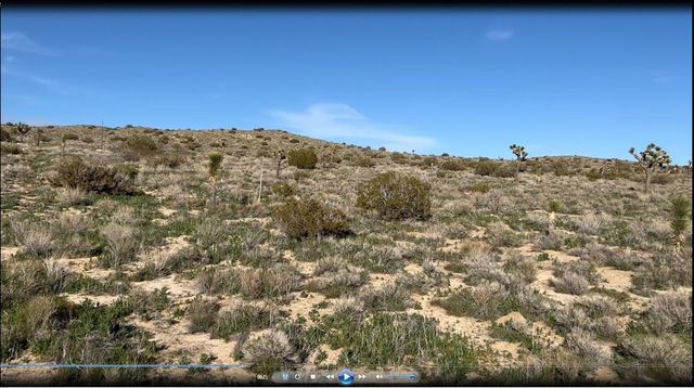 0 Fort Tejon Road, Pearblossom, CA 93553