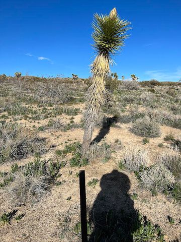 0 Fort Tejon Road, Pearblossom, CA 93553