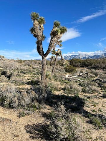 0 Fort Tejon Road, Pearblossom, CA 93553