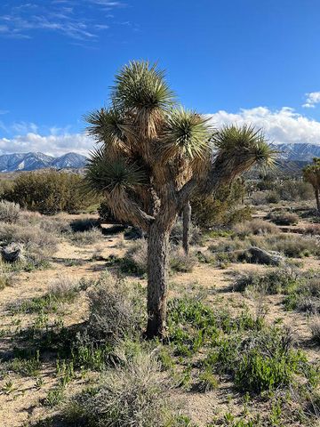 0 Fort Tejon Road, Pearblossom, CA 93553