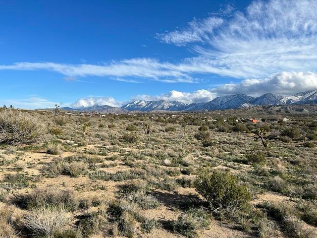 0 Fort Tejon Road, Pearblossom, CA 93553