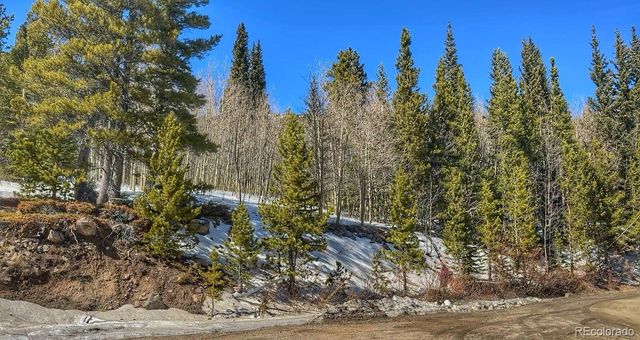 39 Glory Hole Road, Idaho Springs, CO 80452