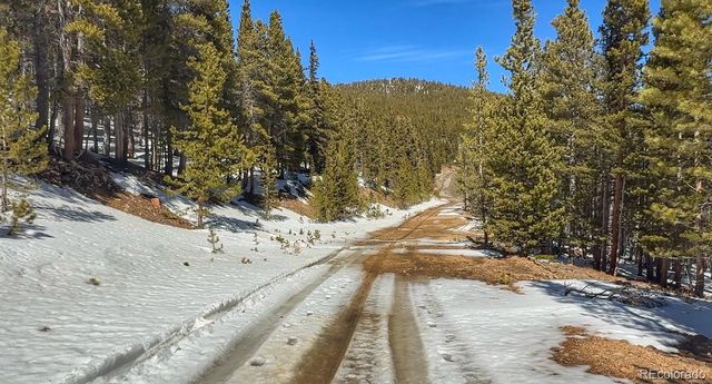 39 Glory Hole Road, Idaho Springs, CO 80452