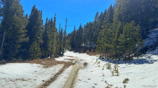 39 Glory Hole Road, Idaho Springs, CO 80452