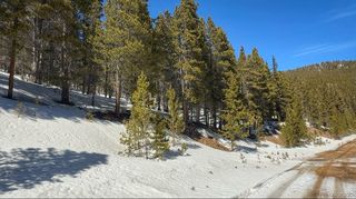 39 Glory Hole Road, Idaho Springs, CO 80452